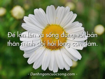 Để lớn lên và sống đúng với bản thân mình đòi hỏi lòng can đảm.