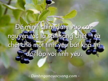 Để mình chìm đắm vào các nguyên tắc là sẵn sàng chết – và chết cho một tình yêu bất khả thi đối lập với tình yêu.