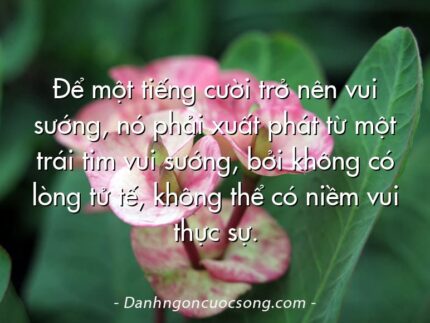 Để một tiếng cười trở nên vui sướng, nó phải xuất phát từ một trái tim vui sướng, bởi không có lòng tử tế, không thể có niềm vui thực sự.