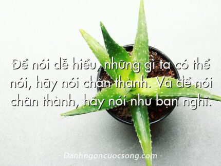 Để nói dễ hiểu, những gì ta có thể nói, hãy nói chân thành. Và để nói chân thành, hãy nói như bạn nghĩ.