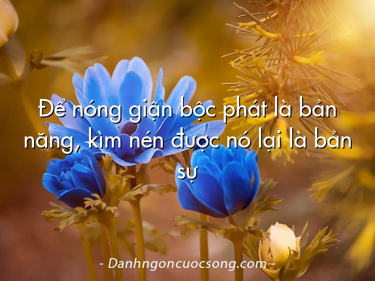 Để nóng giận bộc phát là bản năng, kìm nén được nó lại là bản sự