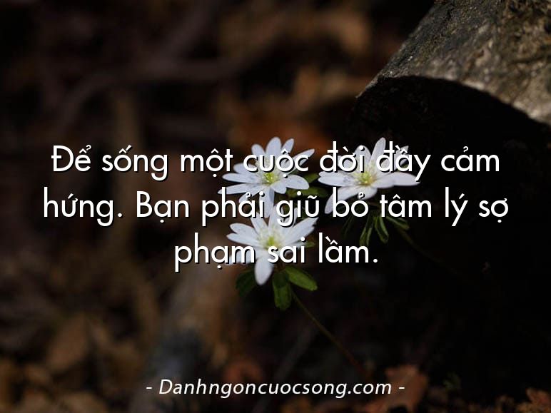 Để sống một cuộc đời đầy cảm hứng. Bạn phải giũ bỏ tâm lý sợ phạm sai lầm.