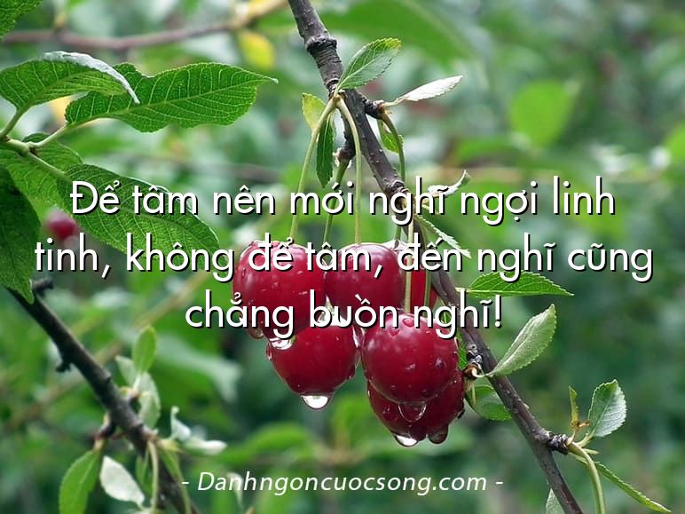Để tâm nên mới nghĩ ngợi linh tinh, không để tâm, đến nghĩ cũng chẳng buồn nghĩ!