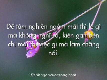 Để tâm nghiền ngẫm mãi thì lẽ gì mà không nghĩ ra, kiên gan bền chí mãi thì việc gì mà làm chẳng nổi.