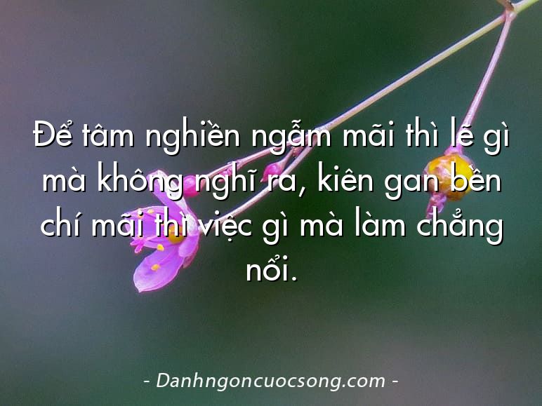 Để tâm nghiền ngẫm mãi thì lẽ gì mà không nghĩ ra, kiên gan bền chí mãi thì việc gì mà làm chẳng nổi.