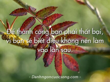 Để thành công bạn phải thất bại, vì bạn sẽ biết điều không nên làm vào lần sau.