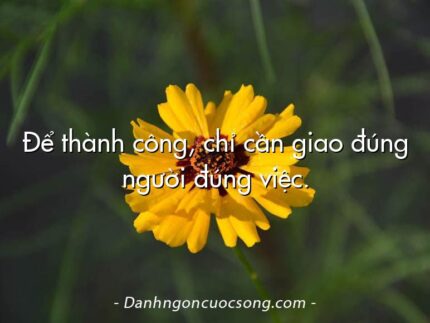 Để thành công, chỉ cần giao đúng người đúng việc.