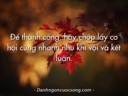Để thành công, hãy chớp lấy cơ hội cũng nhanh như khi vội vã kết luận.