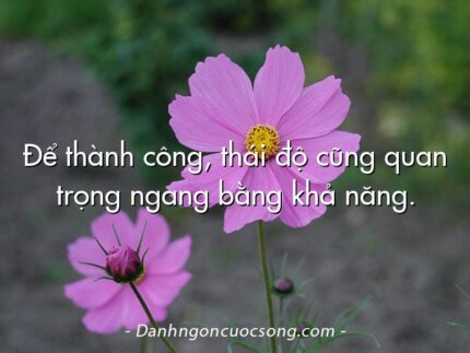 Để thành công, thái độ cũng quan trọng ngang bằng khả năng.