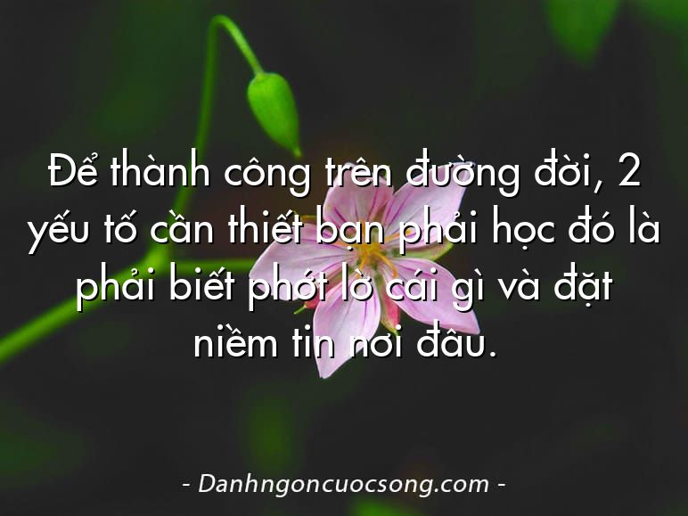 Để thành công trên đường đời, 2 yếu tố cần thiết bạn phải học đó là phải biết phớt lờ cái gì và đặt niềm tin nơi đâu.