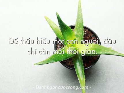 Để thấu hiểu một con người, đâu chỉ cần mỗi thời gian.
