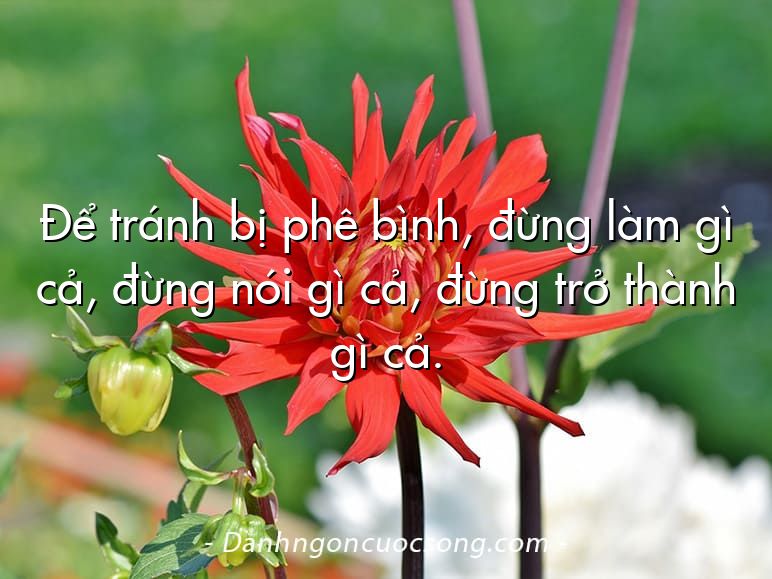 Để tránh bị phê bình, đừng làm gì cả, đừng nói gì cả, đừng trở thành gì cả.