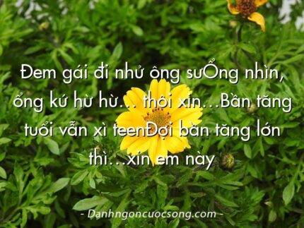 Đem gái đi nhử ông sưỔng nhìn, ổng kứ hừ hừ… thôi xin…Bần tăng tuổi vẫn xì teenĐợi bần tăng lớn thì…xin em này