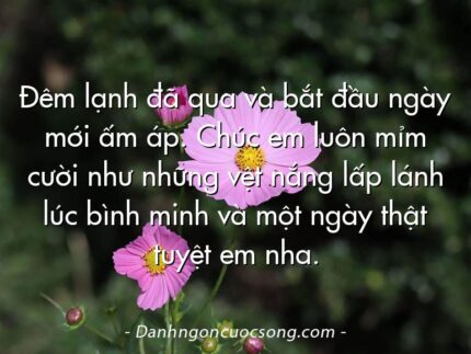 Đêm lạnh đã qua và bắt đầu ngày mới ấm áp. Chúc em luôn mỉm cười như những vệt nắng lấp lánh lúc bình minh và một ngày thật tuyệt em nha.