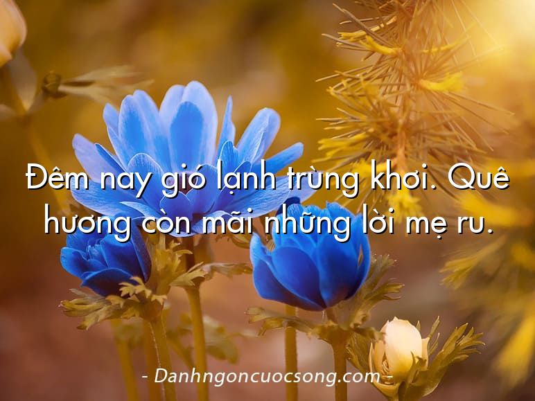 Đêm nay gió lạnh trùng khơi. Quê hương còn mãi những lời mẹ ru.