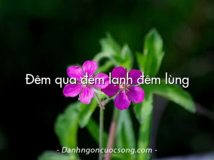 Đêm qua đêm lạnh đêm lùng