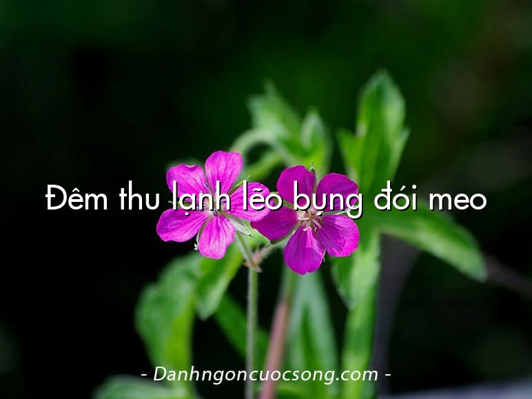 Đêm thu lạnh lẽo bụng đói meo