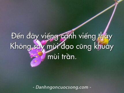 Đến đây viếng cảnh viếng thầy Không say mùi đạo cũng khuây mùi trần.