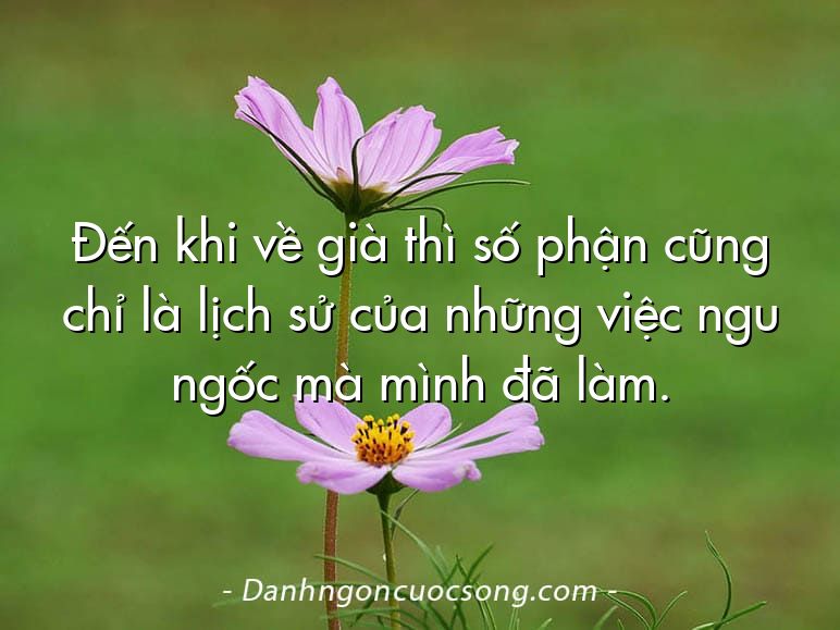 Đến khi về già thì số phận cũng chỉ là lịch sử của những việc ngu ngốc mà mình đã làm.