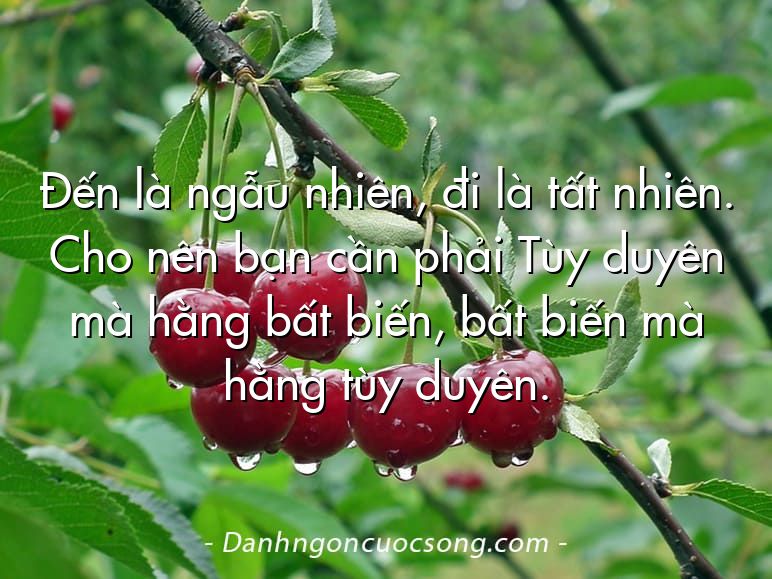 Đến là ngẫu nhiên, đi là tất nhiên. Cho nên bạn cần phải Tùy duyên mà hằng bất biến, bất biến mà hằng tùy duyên.