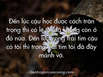 Đến lúc cậu học được cách trân trọng thì có lẽ tôi đã không còn ở đó nữa. Đến lúc trong trái tim cậu có tôi thì trong trái tim tôi đã đầy mảnh vỡ.