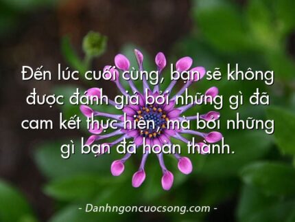 Đến lúc cuối cùng, bạn sẽ không được đánh giá bởi những gì đã cam kết thực hiện, mà bởi những gì bạn đã hoàn thành.