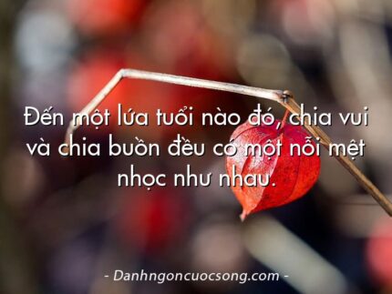 Đến một lứa tuổi nào đó, chia vui và chia buồn đều có một nỗi mệt nhọc như nhau.