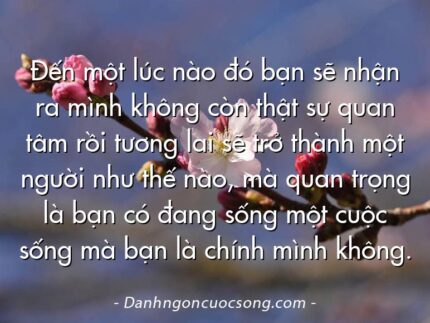Đến một lúc nào đó bạn sẽ nhận ra mình không còn thật sự quan tâm rồi tương lai sẽ trở thành một người như thế nào, mà quan trọng là bạn có đang sống một cuộc sống mà bạn là chính mình không.