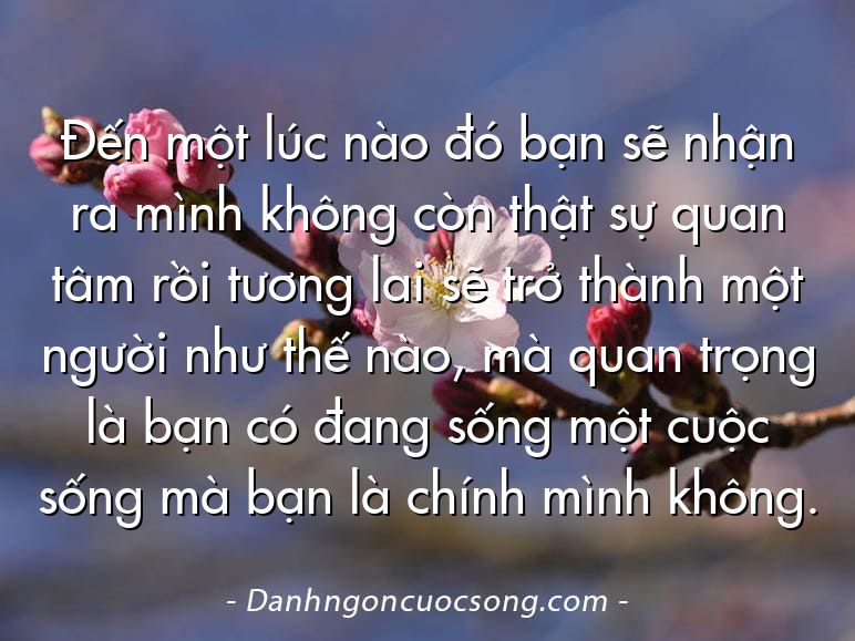 Đến một lúc nào đó bạn sẽ nhận ra mình không còn thật sự quan tâm rồi tương lai sẽ trở thành một người như thế nào, mà quan trọng là bạn có đang sống một cuộc sống mà bạn là chính mình không.