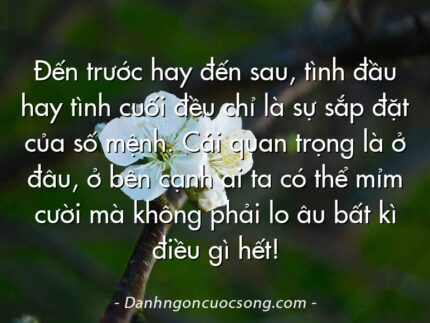Đến trước hay đến sau, tình đầu hay tình cuối đều chỉ là sự sắp đặt của số mệnh. Cái quan trọng là ở đâu, ở bên cạnh ai ta có thể mỉm cười mà không phải lo âu bất kì điều gì hết!