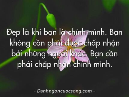 Đẹp là khi bạn là chính mình. Bạn không cần phải được chấp nhận bởi những người khác. Bạn cần phải chấp nhận chính mình.