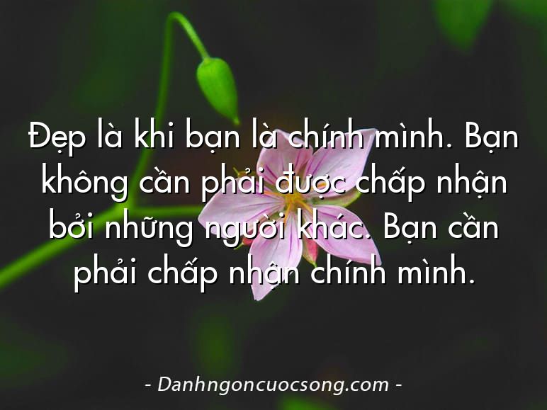 Đẹp là khi bạn là chính mình. Bạn không cần phải được chấp nhận bởi những người khác. Bạn cần phải chấp nhận chính mình.