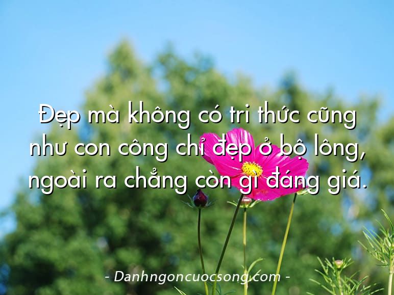 Đẹp mà không có tri thức cũng như con công chỉ đẹp ở bộ lông, ngoài ra chẳng còn gì đáng giá.