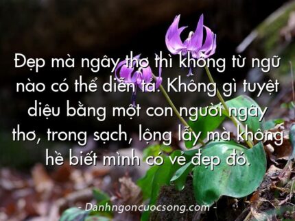 Đẹp mà ngây thơ thì không từ ngữ nào có thể diễn tả. Không gì tuyệt diệu bằng một con người ngây thơ, trong sạch, lộng lẫy mà không hề biết mình có vẻ đẹp đó.