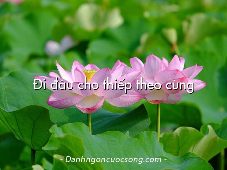 Đi đâu cho thiếp theo cùng