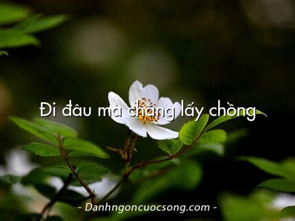 Đi đâu mà chẳng lấy chồng