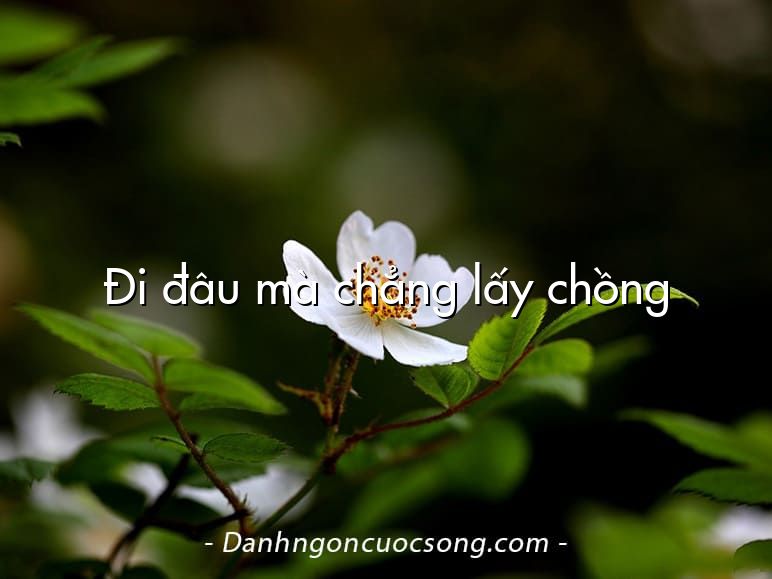 Đi đâu mà chẳng lấy chồng