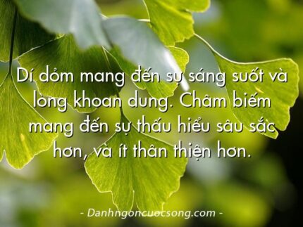 Dí dỏm mang đến sự sáng suốt và lòng khoan dung. Châm biếm mang đến sự thấu hiểu sâu sắc hơn, và ít thân thiện hơn.