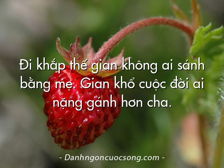 Đi khắp thế gian không ai sánh bằng mẹ. Gian khổ cuộc đời ai nặng gánh hơn cha.