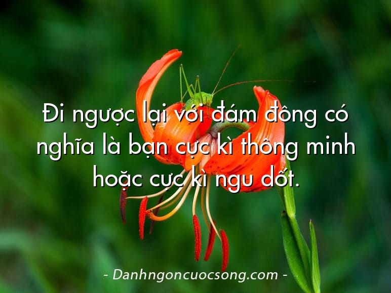 Đi ngược lại với đám đông có nghĩa là bạn cực kì thông minh hoặc cực kì ngu dốt.
