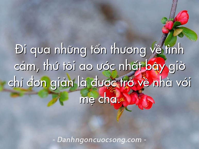 Đi qua những tổn thương về tình cảm, thứ tôi ao ước nhất bây giờ chỉ đơn giản là được trở về nhà với mẹ cha.