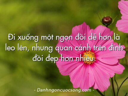 Đi xuống một ngọn đồi dễ hơn là leo lên, nhưng quan cảnh trên đỉnh đồi đẹp hơn nhiều.