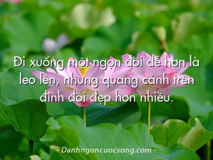 Đi xuống một ngọn đồi dễ hơn là leo lên, nhưng quang cảnh trên đỉnh đồi đẹp hơn nhiều.
