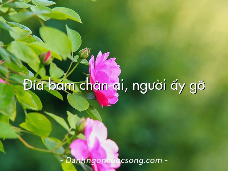 Đỉa bám chân ai, người ấy gỡ