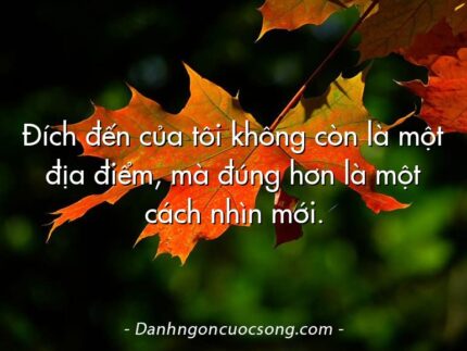 Đích đến của tôi không còn là một địa điểm, mà đúng hơn là một cách nhìn mới.