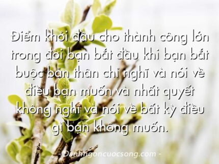 Điểm khởi đầu cho thành công lớn trong đời bạn bắt đầu khi bạn bắt buộc bản thân chỉ nghĩ và nói về điều bạn muốn và nhất quyết không nghĩ và nói về bất kỳ điều gì bạn không muốn.