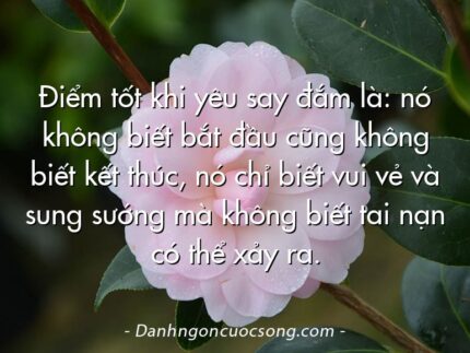 Điểm tốt khi yêu say đắm là: nó không biết bắt đầu cũng không biết kết thúc, nó chỉ biết vui vẻ và sung sướng mà không biết tai nạn có thể xảy ra.
