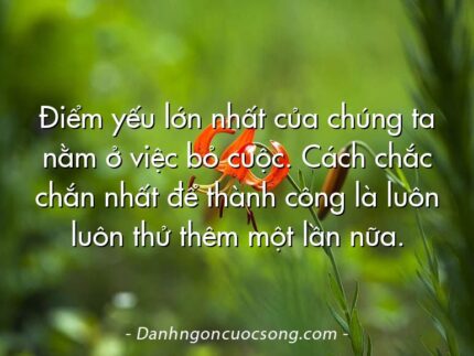 Điểm yếu lớn nhất của chúng ta nằm ở việc bỏ cuộc. Cách chắc chắn nhất để thành công là luôn luôn thử thêm một lần nữa.