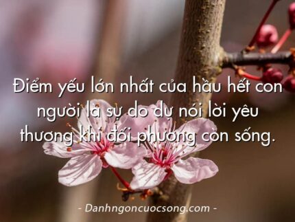 Điểm yếu lớn nhất của hầu hết con người là sự do dự nói lời yêu thương khi đối phương còn sống.