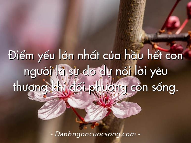 Điểm yếu lớn nhất của hầu hết con người là sự do dự nói lời yêu thương khi đối phương còn sống.